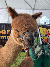 Amber Autumn Goldmoon